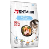 Ontario Cat Kitten Salmon